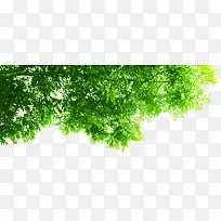 ���´���ֲ�����-������