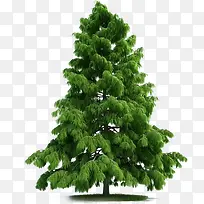 ��ɫë���׵Ĵ���-������