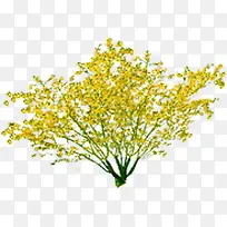 黄色唯美绿化大树-空若网 黄色唯美绿化大树-空若网