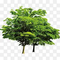 ���¾��۴�������-������