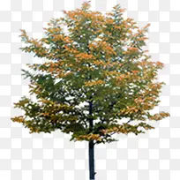 �＾С�����۴���-������