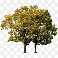 С���＾���۴���-������