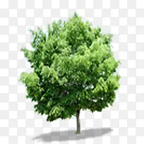 ����Ұ�����´���-������