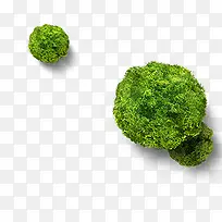 手绘艺术圆形大树-空若网 手绘艺术圆形大树-空若网