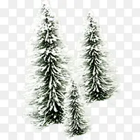 冬日唯美大树创意-空若网 冬日唯美大树创意-空若网