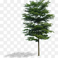 ��ɫ���������Ӱ����-������