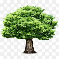 春天公益海报大树-空若网 春天公益海报大树-空若网