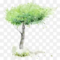 �ֻ�ˮ�ʴ������-������