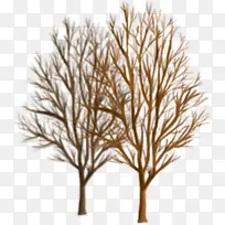 �ֻ��ɫ�������-������