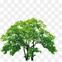 ����ϡ����������-������