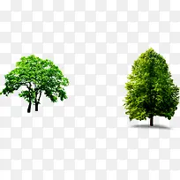 ���컷�����´���-������