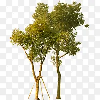 ��ɫС�����۴���-������