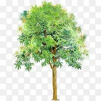 ÇåÐÂÏļ¾ÊÖ»æ´óÊ÷-¿ÕÈôÍø ÇåÐÂÏļ¾ÊÖ»æ´óÊ÷-¿ÕÈôÍø