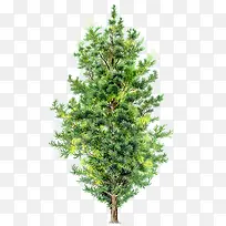 �ļ��ֻ����´���-������