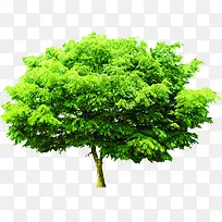 ��������ï�ܴ���-������