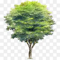 �ֻ��ļ�ï�ܴ���-������