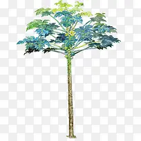 ÊÖ»æÀ¶É«Ïļ¾´óÊ÷-¿ÕÈôÍø ÊÖ»æÀ¶É«Ïļ¾´óÊ÷-¿ÕÈôÍø