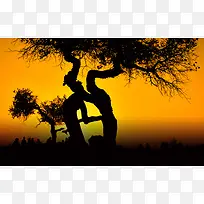 手绘创意大树抽象-空若网 手绘创意大树抽象-空若网