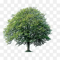 סլ԰���̻�����-������