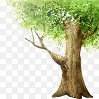 �ֻ��λ���Ҷ����-������