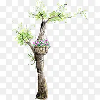 手绘古风水彩大树-空若网 手绘古风水彩大树-空若网