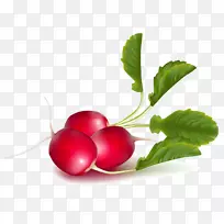 菜园萝卜蔬菜萝卜番茄-空若网 菜园萝卜蔬菜萝卜番茄-空若网