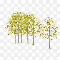 手绘秋天黄色大树-空若网 手绘秋天黄色大树-空若网