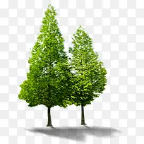 ÂÌÊ÷Ô°ÁÖ´óÊ÷ÃÀ¾°-¿ÕÈôÍø ÂÌÊ÷Ô°ÁÖ´óÊ÷ÃÀ¾°-¿ÕÈôÍø