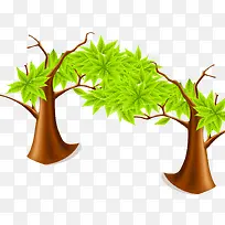 ��ͨ��ľ-������