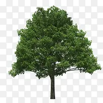 �����ļ�ֲ�����-������