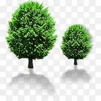 立绘绿色大树高清摄影合成-空若网 立绘绿色大树高清摄影合成-空若网