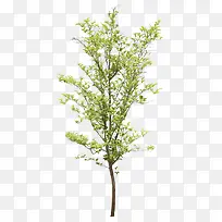 ��ɫ�＾ֲ�����-������