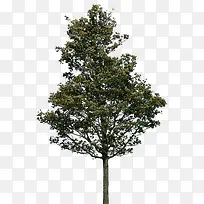 ������Ӱ����Ĵ���-������