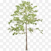 ������Ӱ��ɫ�Ĵ�����Ӱ-������