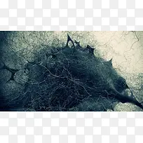 怀旧大树植物树枝-空若网 怀旧大树植物树枝-空若网