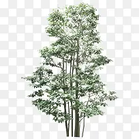 ��Ӱ����������ɫ�Ĵ���-������