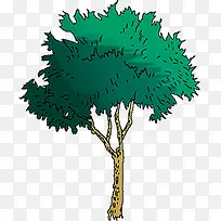 手绘夏季园林大树-空若网 手绘夏季园林大树-空若网