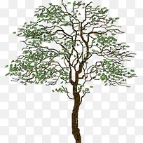 手绘创意大树美景-空若网 手绘创意大树美景-空若网