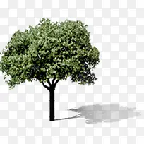 ��ľ԰�־��۴���-������