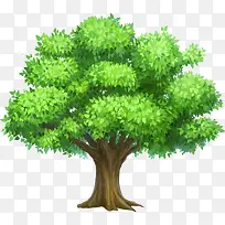 ��ɫï����������-������