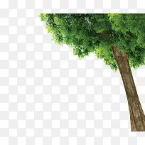 ����-������