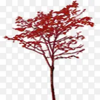 ��ɫ���ʴ������-������