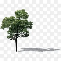 树木倒影美景大树-空若网 树木倒影美景大树-空若网