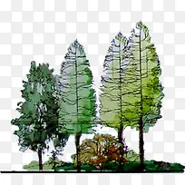 手绘清新道路大树-空若网 手绘清新道路大树-空若网