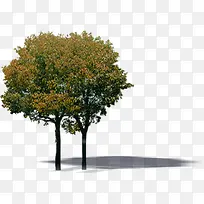 高清创意摄影黄色大树渲染-空若网 高清创意摄影黄色大树渲染-空若网