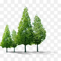 高清摄影绿色的大树-空若网 高清摄影绿色的大树-空若网