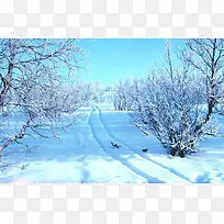 ��ɫ������԰����-������