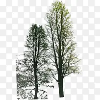 创意合成摄影渲染大树树木-空若网 创意合成摄影渲染大树树木-空若网