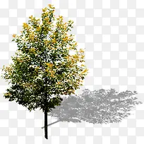 ����������Ӱ��ɫ�Ĵ���-������