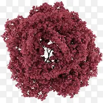 红色手绘艺术大树树洞-空若网 红色手绘艺术大树树洞-空若网